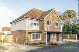 Photo 2- click for photo gallery